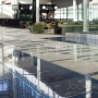 jockimo edmonton glassflooring above